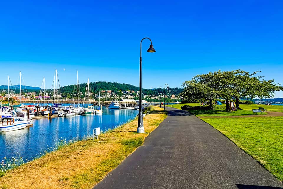 A paved path runs alongside a marina with docked sailboats under a clear blue sky, bordered by green grass, trees, and a streetlamp on a sunny day.