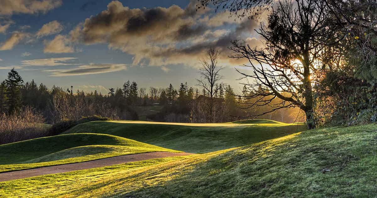 Sunset over a scenic golf course with rolling green hills, a winding path, leafless trees, and golden sunlight streaming through the branches.